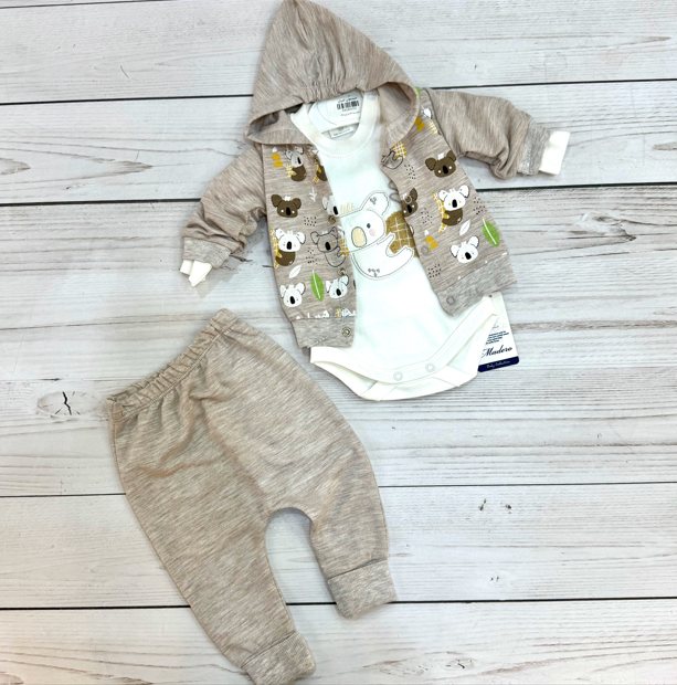 Screenshot 2025-01-10 154629