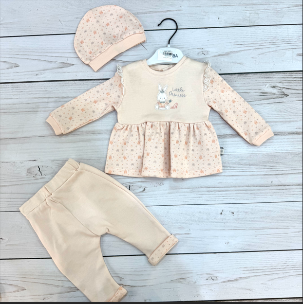 Screenshot 2025-01-10 160727