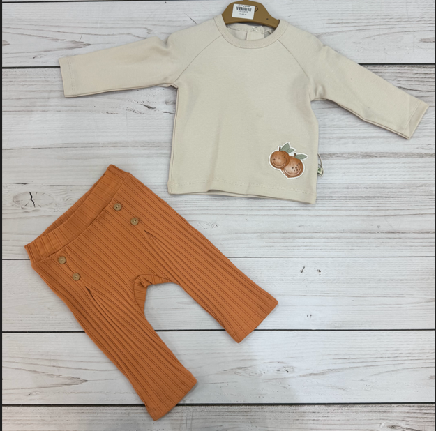 Screenshot 2025-01-10 163354